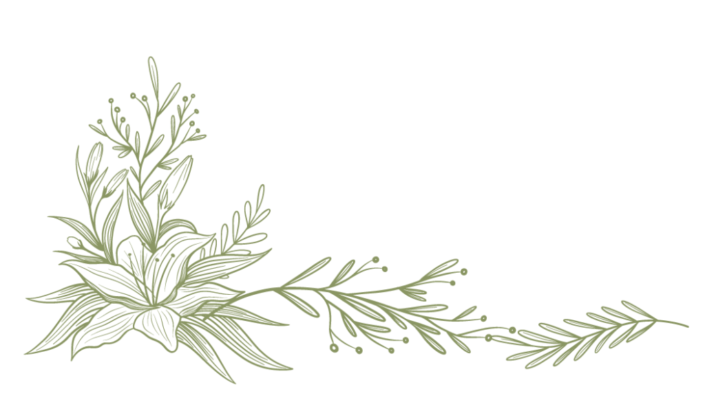 Illustration florale végétale minimaliste, motif botanique vert sur fond sombre